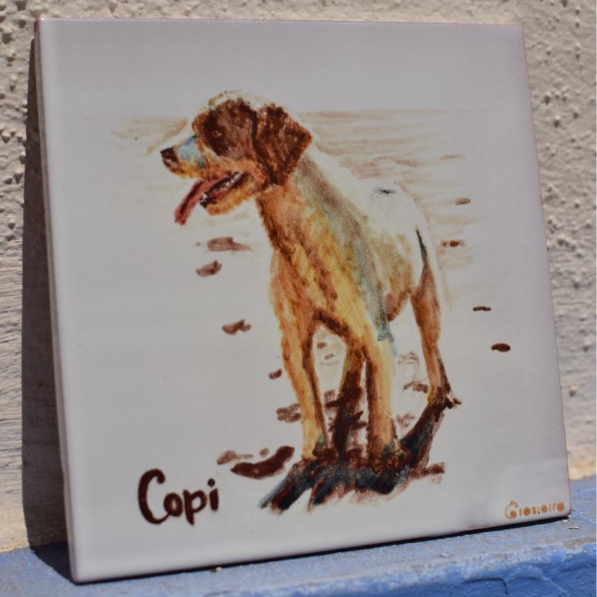 Encargo azulejo personalizado con mascota pintada a mano en 20x20cm.