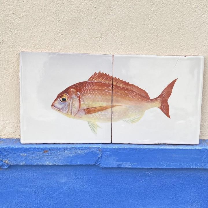 Pez breca. Azulejos pintados a mano de la colección 'Tesoros de la Bahía'.
