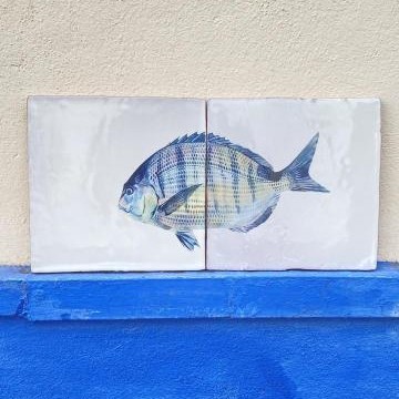 Pez sargo. Azulejos pintados a mano de la colección 'Tesoros de la Bahía'.